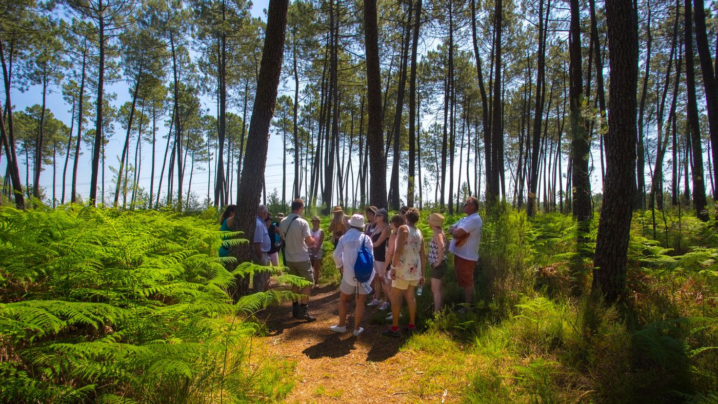 © David Remazeilles (Gironde Tourisme)