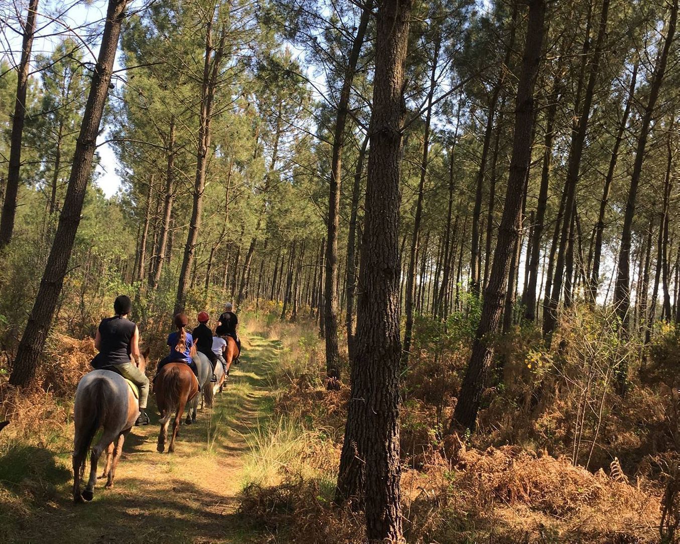 paseo a caballo Burdeos