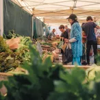 Marché des Chartrons à Bordeaux