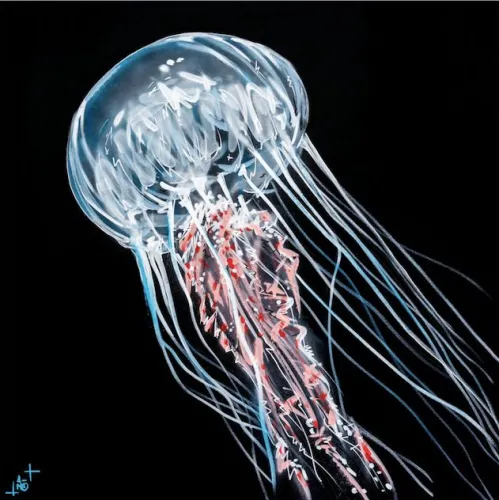 Medusa transparente con campana blanca y tentáculos rojos y negros flotando sobre fondo negro, obra de arte callejero en el Museo Mar Marino de Burdeos