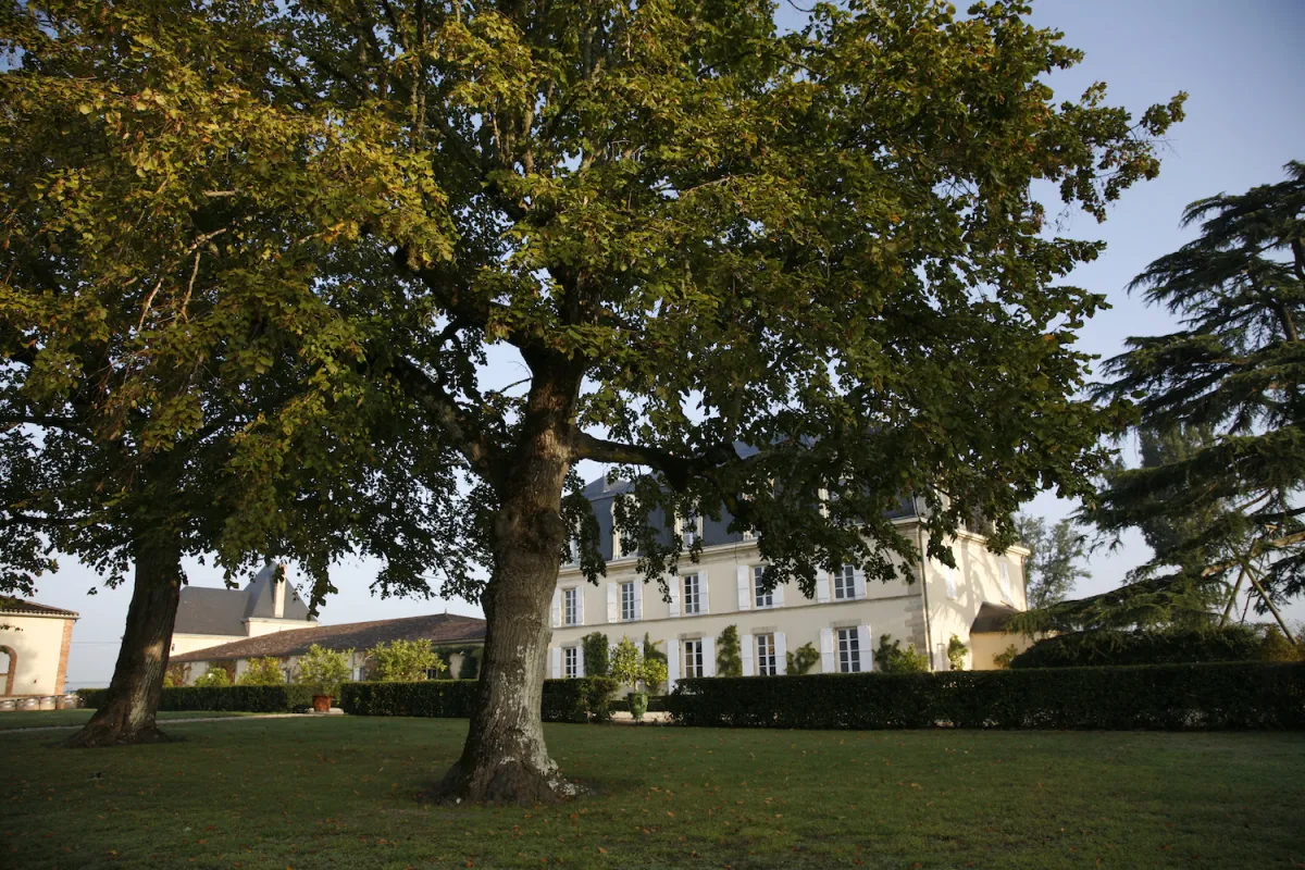 Château Guiraud vignoble durable à Bordeaux