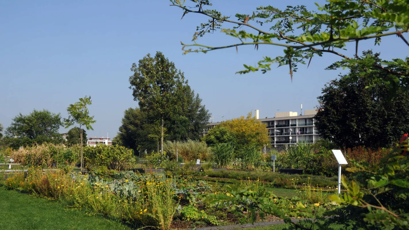 jardin botanique à Bordeaux