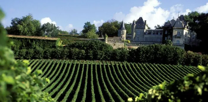 Viñedos de Fronsac con un castillo medieval de fondo bajo un cielo azul con nubes blancas