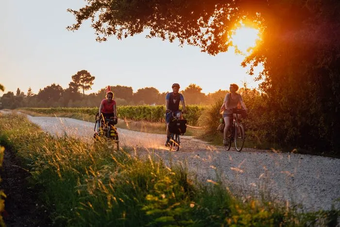 Tres ciclistas pedaleando en un camino de tierra al atardecer en los viñedos de Burdeos, con campos y árboles al fondo.