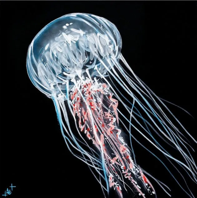 Medusa transparente con campana blanca y tentáculos rojos y negros flotando sobre fondo negro, obra de arte callejero en el Museo Mar Marino de Burdeos