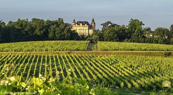 Vista panorámica del Castillo de Sauternes dominando viñedos ordenados en filas en la región vitivinícola de Burdeos