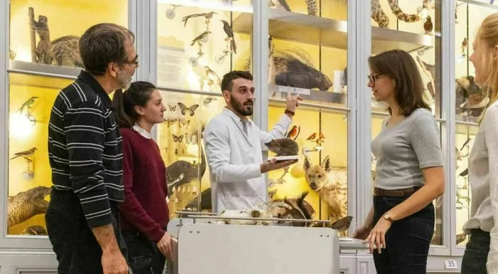 Un especialista de museo en bata blanca explica especímenes taxidermizados a un grupo de visitantes frente a vitrinas de museo llenas de animales disecados y mariposas.