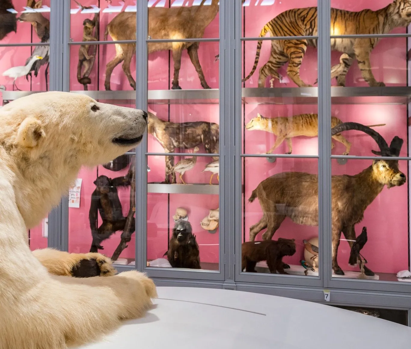 burdeos con los niños