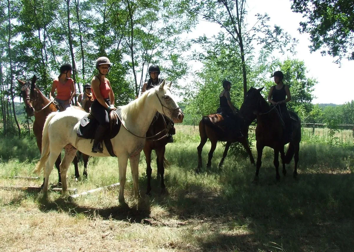 Paseos a caballo por Burdeos