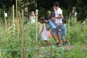 Un grupo de niños en un huerto del Parque Rivière en Burdeos, donde un joven adulto les muestra cómo regar las plantas con una regadera azul.
